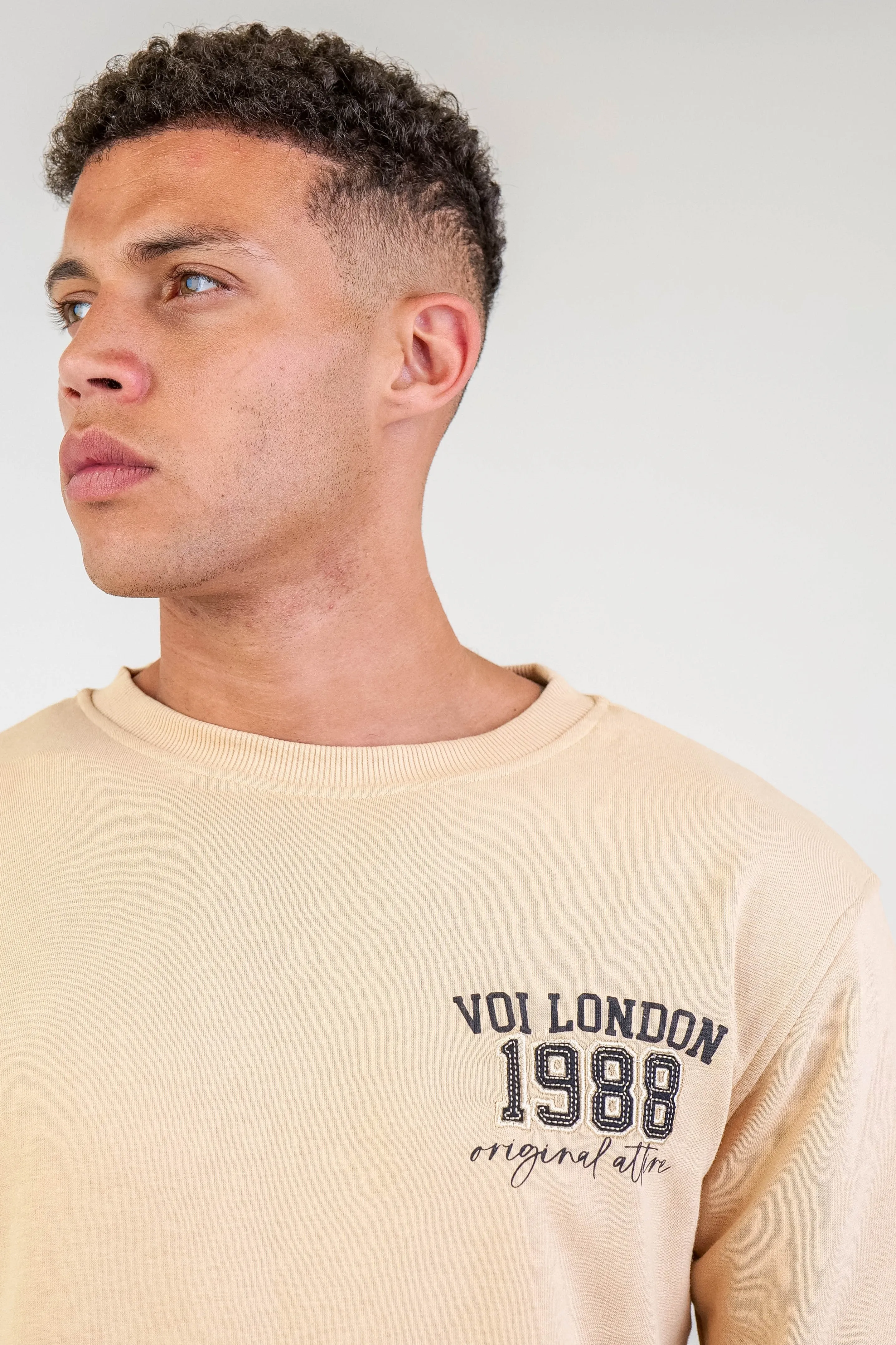 Clarendon Regular Fit Fleece Crew Sweatshirt - Beige