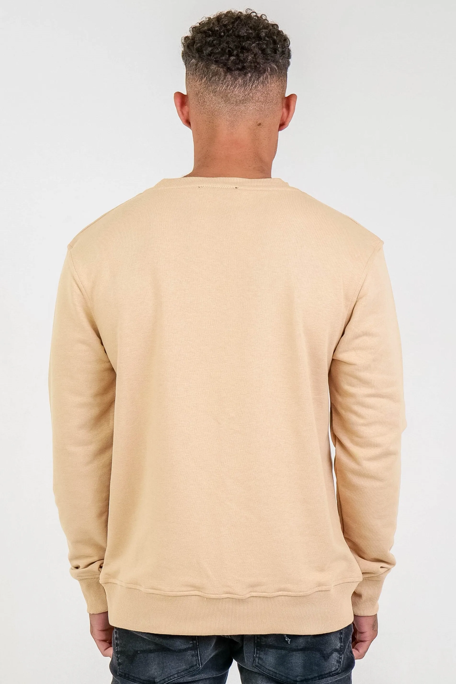 Clarendon Regular Fit Fleece Crew Sweatshirt - Beige