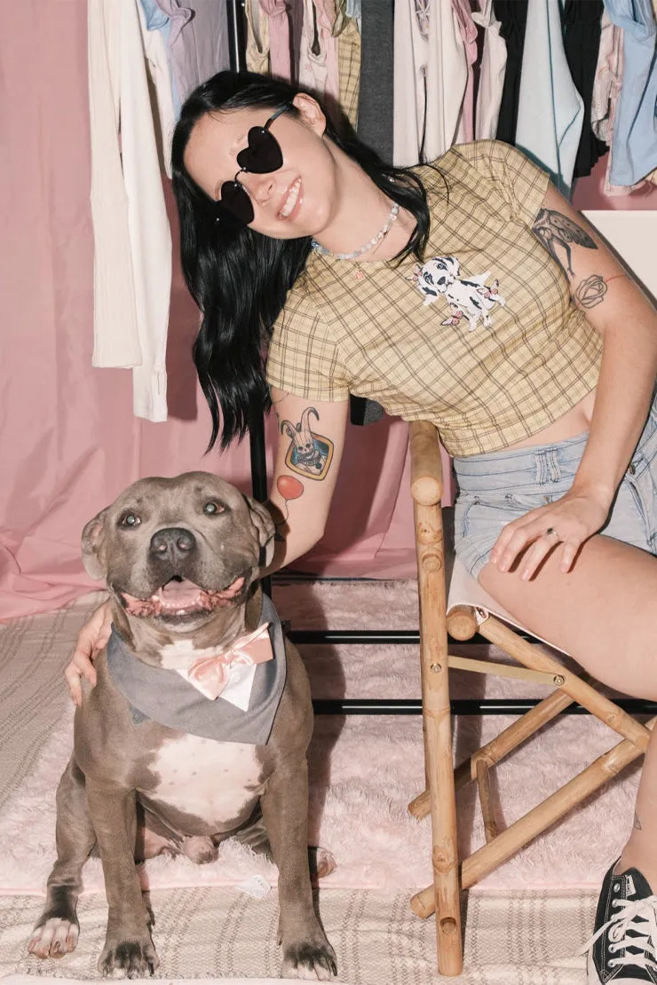Cloud Haven Plaid Sweet Dane Tee | Yellow Plaid Graphic Baby Tee